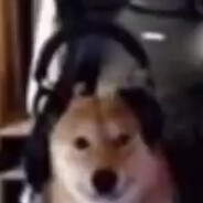 MaxTheGuy!1!1!