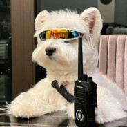 夜空中最浪的星