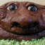mattvveev