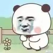 烦我给你吗都干掉