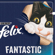 Felix Fantastic
