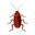 Big Roach