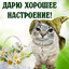 ешьте кашу