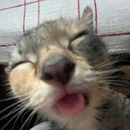 ляляколобок