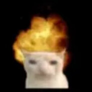 Avatar Steam