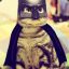 NekoBatman