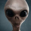 Grey Alien's avatar