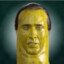 PICOLAS CAGE