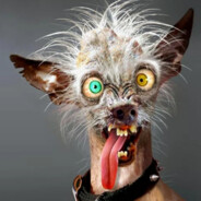 veteroK - steam id 76561199110776483