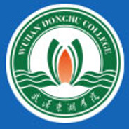 避雷_武汉_东湖_学院