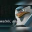 KOWALSKI&gt;ANAL