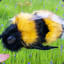 A Massive Bee