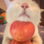 AnimalCrackers76