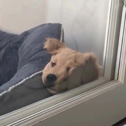 震撼我妈一整年