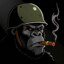 Gorilla Warlord