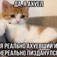 shami4 - steam id 76561199417810066