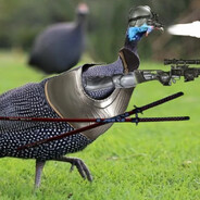 Super Galo Angolano de Guerra