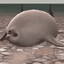 the summer update