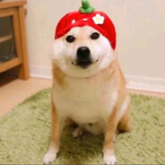 你的好朋友凯文乐福