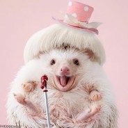 Na'Vi Хомячок