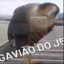 Gavião do J5