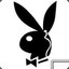 -DongBeiDaC1Hua