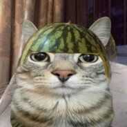Кіт кавун