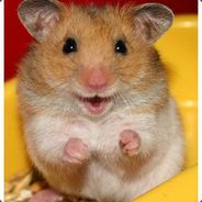 Hamster - Regler