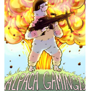 Alpaca_Gaming13