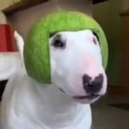 WatermellonMilk - steam id 76561199016569993