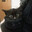 FeLis-