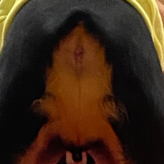 GRINGO avatar