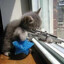 taliban soldier