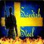 Swedish_Steel