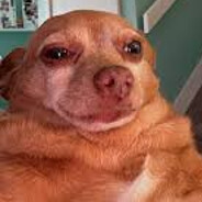 Ricky - steam id 76561198962483321