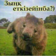 astanaerlan - steam id 76561199263397793