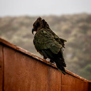 ✪ V Λ C U U M ✪