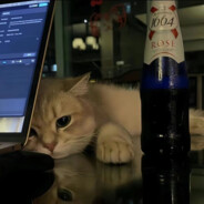 悍匪我的小宝贝