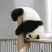 美式