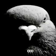 кветиапин 2007