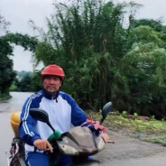 友好邻居独木侠