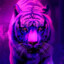 Tiger Hackz's avatar