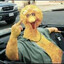 Big Bird