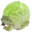 Cabbage Toucher