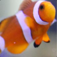 WeezeWyrm - steam id 76561198027594673