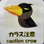 Caution Crow