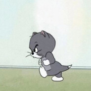 小小汤姆猫