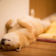 我是菜鸡别打架