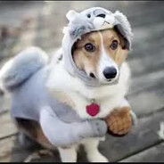 Вовка Чегевара