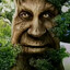 Avatar of player jook h68